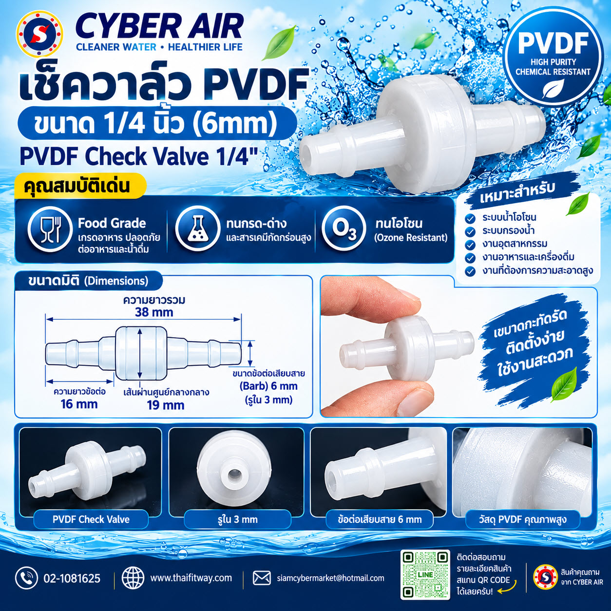 PVDF checkvalve